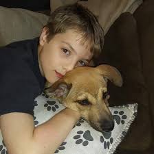 Dylan's T1D Alert Dog...