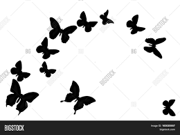 Find professional butterflies background videos and stock footage available for license in film, television, advertising and corporate uses. Black Butterfly On Image Photo Free Trial Bigstock