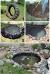 Small Diy Fish Pond