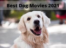May 20, 2019 · john wick: 10 Best Dog Movies 2021 Upcoming Ones