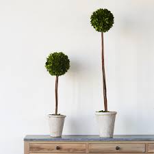 This crafted topiary centerpiece is a perfect centerpiece for a table, entryway, holiday party and winter wedding. Topiary Style A Dash Of Manicured Charm