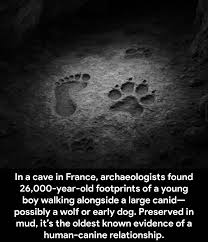 Thoughts - 👣 🐾 🪨 The 26,000-year-old footprints found in Chauvet Cave in  France are truly one of the most fascinating pieces of evidence of the deep  bond between humans and animals —