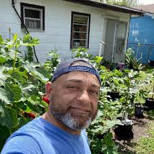 How to get rid of ants