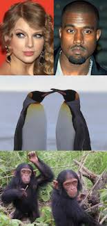 Human Subspecies Or Races Ask A Biologist