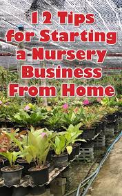 12 Tips For Starting A Nursery Business From Home Starting A Business Ideas Of Starting A Business Start Garden Nursery Plant Nursery Small Garden Nursery
