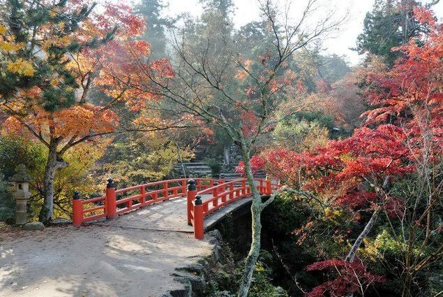宮島・紅葉谷公園の紅葉(広島県) ｜紅葉名所2025