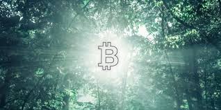 Bitcoin cold storage might sound like storing your cryptocurrency inside of a fridge, but the reality is quite different. Why Should I Use A Hardware Wallet To Keep My Bitcoin Safe