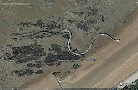 Serpent D Ocean Saint Brevin Les Pins Loire Atlantique Pont De St Nazaire Loire Atlantique Serpent