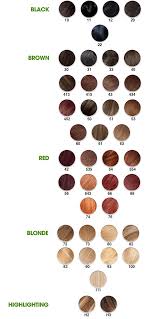 28 Albums Of Garnier Hair Dye Color Chart Explore