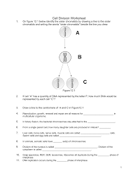 Match the term to the description a. Cell Division Worksheet