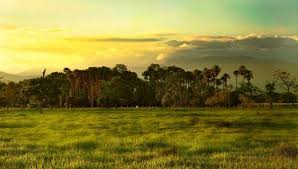 Check spelling or type a new query. Pin By Jorge Rojas On Los Llanos Venezolanos Venezuela Sunset Outdoor