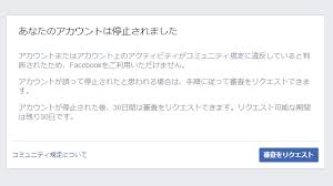 Oculus Quest2用に作ったfacebookアカウントが停止される問題まとめ 追記あり ビログ
