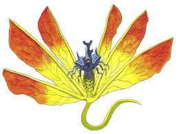 Sabaku no gaara (extracted) tale in the legend of the tailed beasts： shukaku is a bijuu in the form of raccon dog (tanuki of the japanese mythology). What Are The Tailed Beast Names Quora