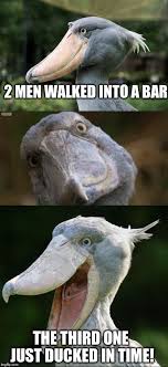 Birds Of The Same Feather Joke Bad Joke Bird 3 Bad Jokes Bird Puns Jokes