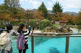 Why spend hours ruminating over what to do in kobe? Touristsecrets 15 Things To Do In Kobe Japan Touristsecrets