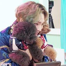 My little television v2마이리틀텔레비전v2别名我的小电视v2类型综艺制作国家／地区 韩国季数2集数41集每集长度约80分钟片尾曲最新音乐录像（mv）制作制作公司mbc播映 . Pin On Korean Entertainment