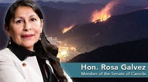 Sen. Rosa Galvez introduces bill to align Canadian financial sector with  climate commitments
