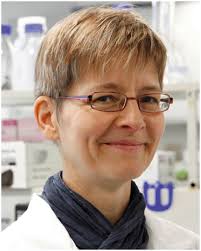 Meet the Editorial Board