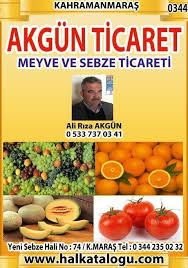 Akgun Komisyon Evi Hal Katalogu