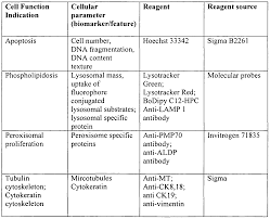 macromolecules chart related keywords suggestions