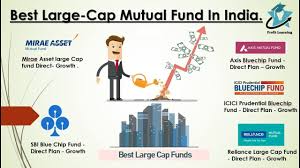 Large Cap Funds - Axis Direct