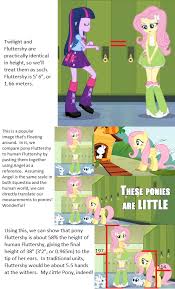 My Little Pony Twilight Sparkle Luna Math Spike Fluttershy