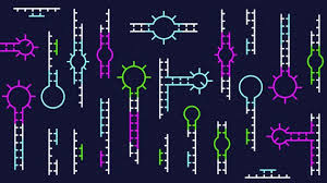 Nature structural & molecular biology. Collections Nature Structural Molecular Biology