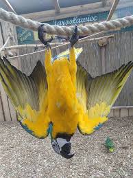 To są nasze oczka w głowie, cała magia skupia się w nich. Jaroslawiec Najlepsze Atrakcje Dla Dzieci Opinie Ceny