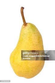 51 Guyot Environnement Stock Photos, High-Res Pictures, and Images