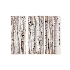 3 Piece Birch Tree Wall Art Giftcraft 3 Piece Birch Photographic Print On Canvas Set Canvas Set 3 Piece Wall Art Canvas Prints
