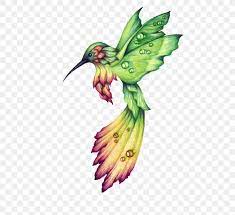 Check spelling or type a new query. Hummingbird Drawing Birds Watercolor Painting Png 484x750px Hummingbird Animal Beak Bird Color Download Free