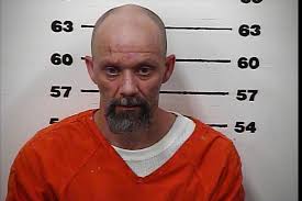 HCSO: Woman fled traffic stop in stolen vehicle, tried to swallow meth at  jail