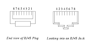 The industry calls this type of connector 8p8c, shorthand for eight position, eight. Structured Wiring Rj45 Balum Pot Adaptor Cat5