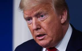 Is a Man Named Joe Pizza Responsible for Trump's Hydroxychloroquine Talk?