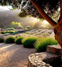 Bild Von Adilia Costa Auf Lovely Lavender Mediterraner Garten Garten Garten Und Outdoor