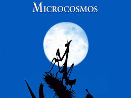 смотреть фильм париж любой ценой бесплатно в хорошем качестве Film Of The Week Microcosmos 1996 Nature Film Documentaries Film