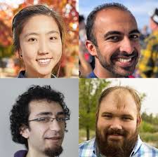 Pulses, Qudits and Quantum Simulations