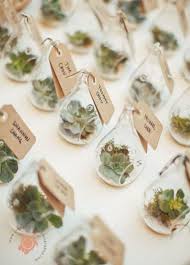 With The Rise In Popularity Of All Things Environmentally Friendly Why Not Extend T Affordable Wedding Favours Creative Wedding Favors Succulent Wedding Decor