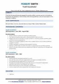 Policy, process and procedure development for financial administration of grants; Youth Coordinator Resume Samples Qwikresume