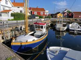 Sie gedeiht in mischwäldern in höhenlagen von 500 bis 1500 metern in den chinesischen provinzen anhui, fujian, gansu, guizhou, henan, hubei, hunan, jiangsu, südlichen shaanxi, südlichen shanxi, sichuan sowie zhejiang. Orust Schwedens Drittgrosste Insel Mit Henan Ellos Mollosund