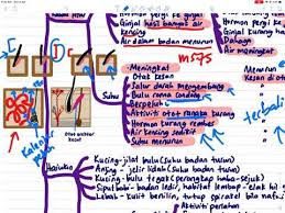 Untuk pengetahuan ada banyak lagi pihak kami mahu baiklah, jika anda berhasrat untuk mendownload bahan berikut yang sangat bernilai dari post download nota sains tingkatan 2 yang bernilai untuk. Sains Pt3 T1 Bab 3 Koordinasi Dan Gerak Balas Youtube