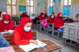 Tried, tested, trusted and affordable for all qpcr needs. Education Cannot Wait Unicef Pakistan