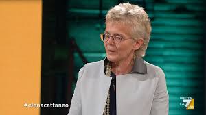 Последние твиты от elena cattaneo (@elecatta). Ll K Qw7t 3dfm