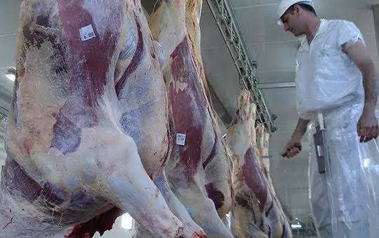Cuota argentina en EE.UU.: se agotó el tramo del tercer trimestre un mes antes – Valor Carne