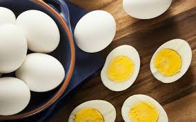 Selain digunakan untuk menggemukkan ayam ternak, ternyata neobro juga multivitamin tersebut cocok digunakan untuk usaha ayam petelur agar dihasilkan telur yang banyak. 7 Manfaat Telur Ayam Kampung Benarkah Lebih Sehat Dari Telur Biasa