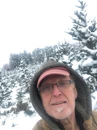 Bandit enjoying Christmas tree before it comes down