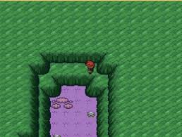 We did not find results for: Stuck In The Wall In The Cave Where You Fight Rift Garbodor Pokemon Rejuvenation Reborn Evolved