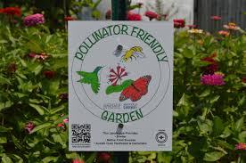 We're protecting maryland's native plants q: Planting For Pollinators Let The Neighborhood Know Small Town Gardener