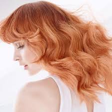 Visit your local hair cuttery at 2188 white st. Professional Hair Styling York Pa Indulge Salon York Pa