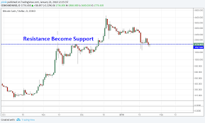 It follows falls in bitcoin of more than 10% last week after tesla said it would no longer accept the currency. Bitcoin Cash Price Prediction 2018 Indications Suggest Bch Could Prevail